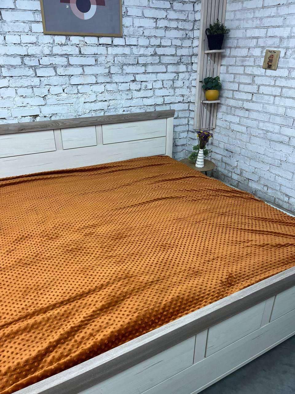 Плед флісовий 200х215 см Коричневий (Д-mur-flis-pled-001-03) - фото 1 Плед флісовий 200х215 см Коричневий (Д-mur-flis-pled-001-03) - фото 1