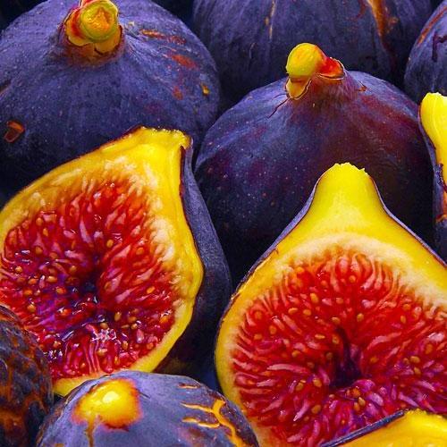 Сажанець Ексклюзив Інжир темно-фіолетовий Ранок Вероніки Morning Veronica преміальний самозапильний ремонтантний сорт (48122)