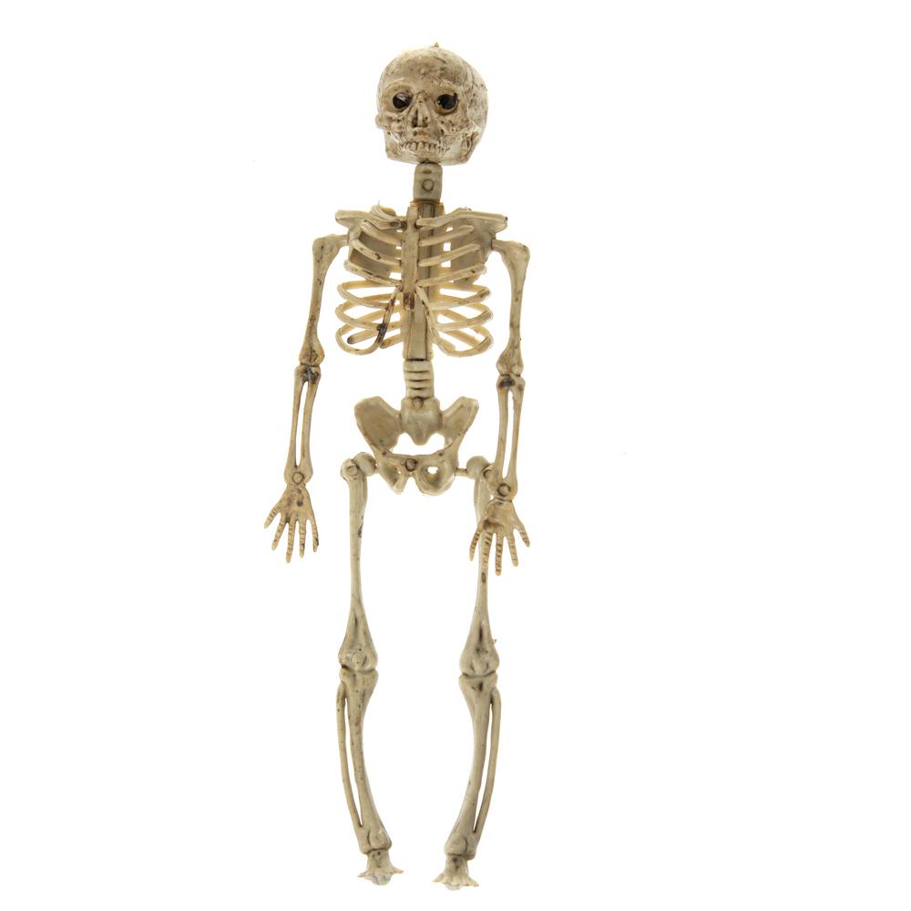 Декор на Хеллоуин Elisey Скелет (8810-038)