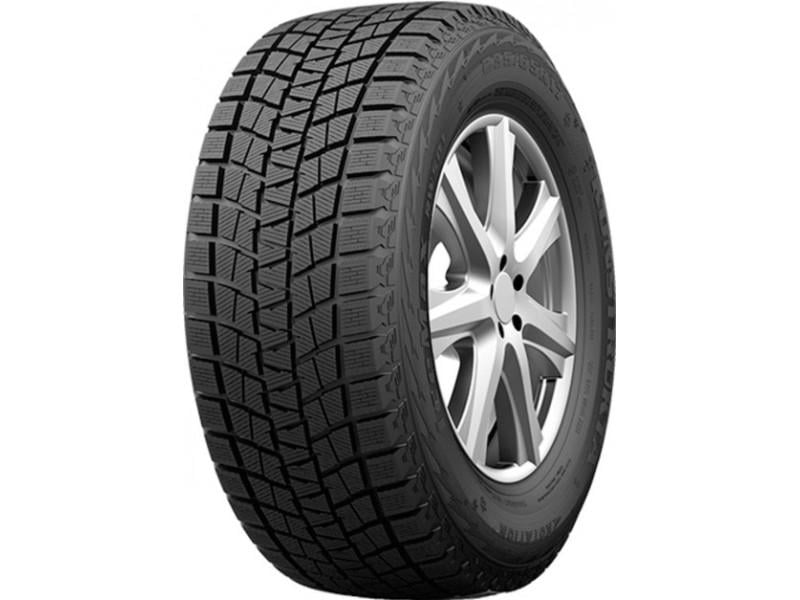 Шина зимова Habilead RW501 IceMax 205/55 R16 91H (18862)