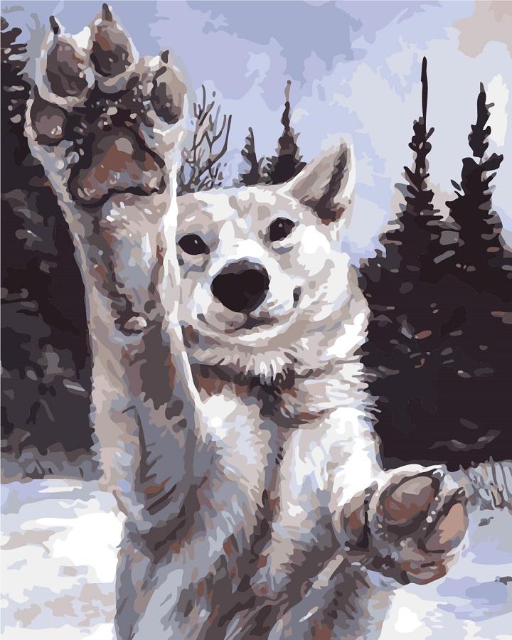 Картина за номерами Хочу грати (AS0284)