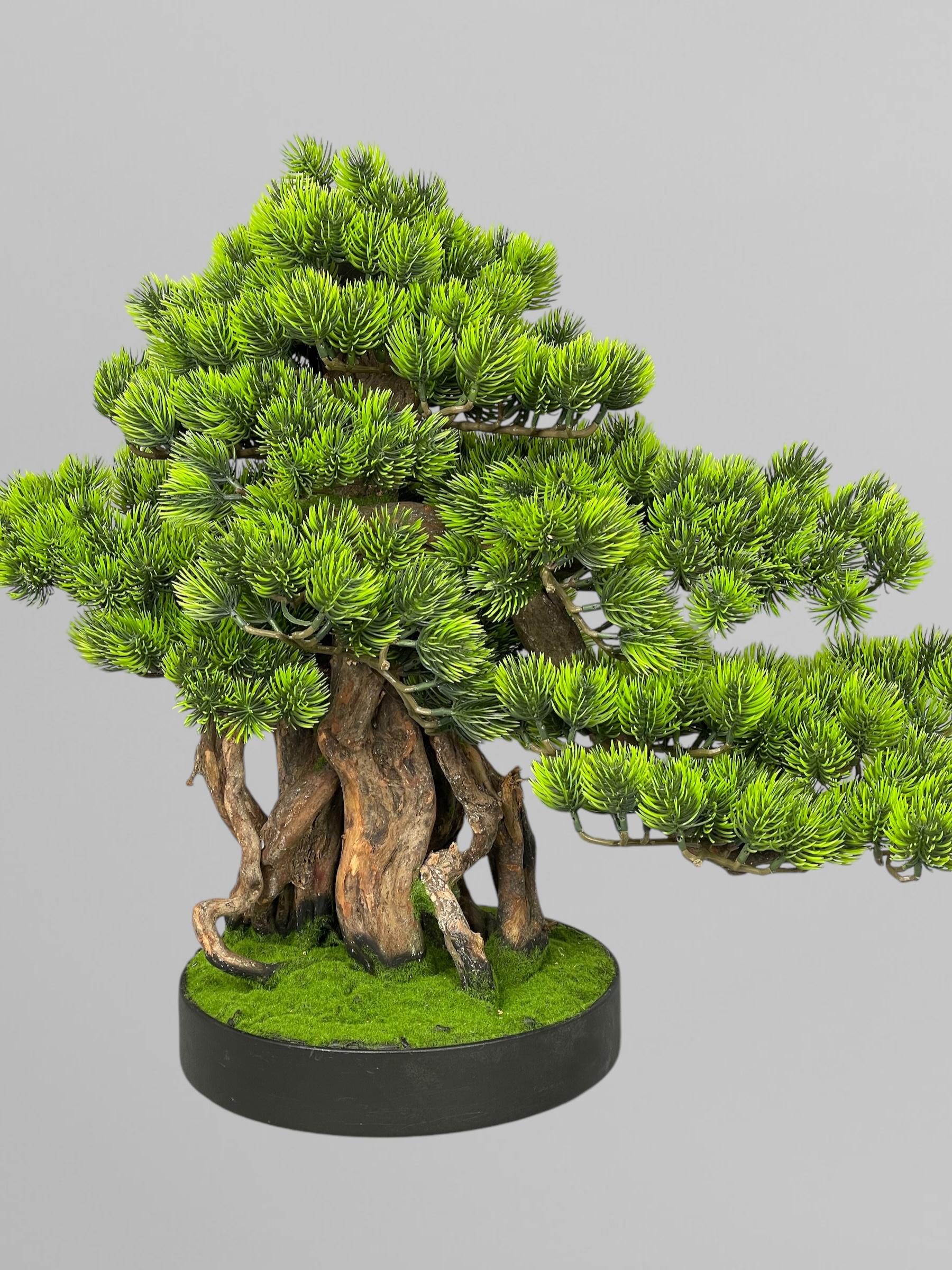 Бонсай 52 см Зеленый (Б007) - фото 2 Бонсай 52 см Зеленый (Б007) - фото 2