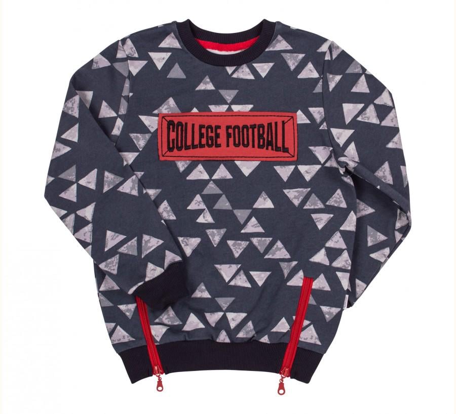 Джемпер с начесом на мальчика Бемби р. 110 (ДЖ 220)