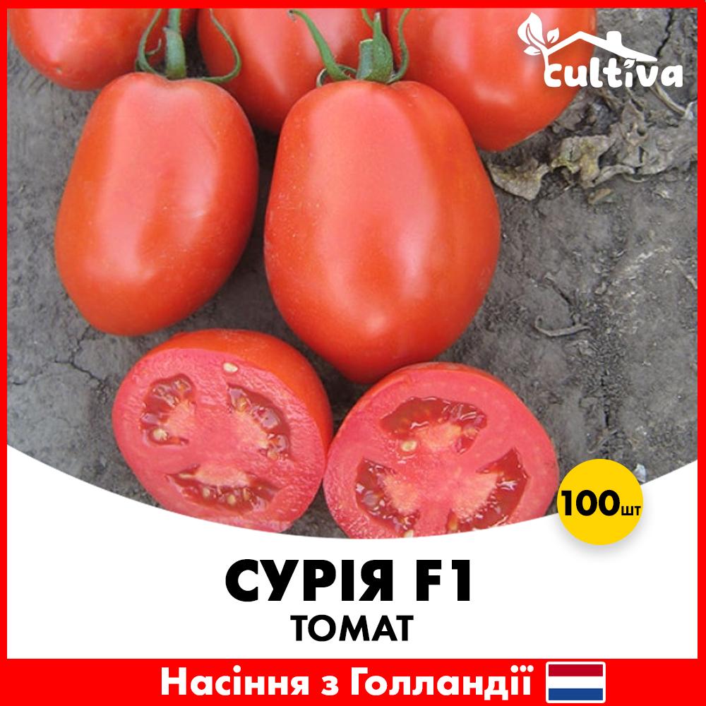 Семена томата Hazera Сурия F1 100 шт. (421100)