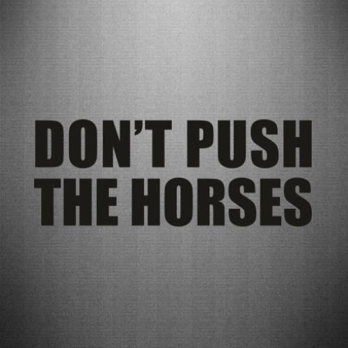 Наклейка Don’t push the horses 50x19,3 см (27806199)