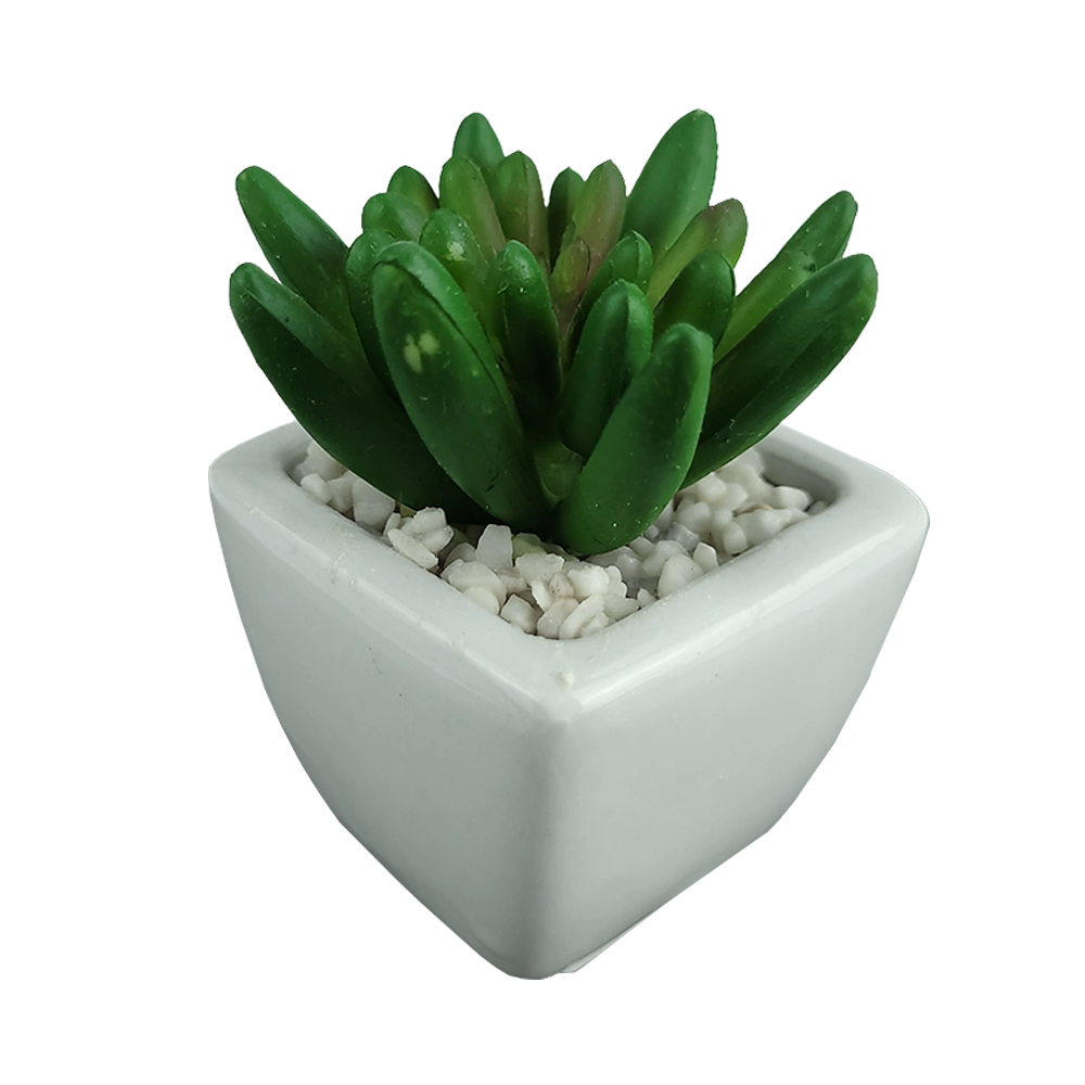 Искусственный суккулент пахифитум толстолистный Зеленый (H-23621810)