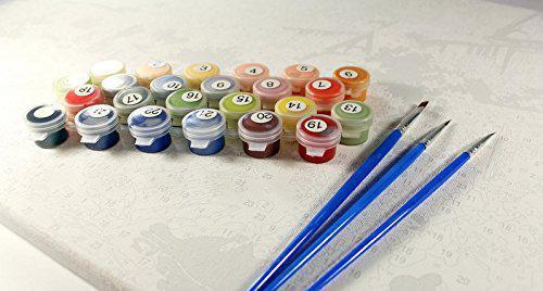 Картина по номерам Идейка Яркое настроение КНО2057 40х50 см