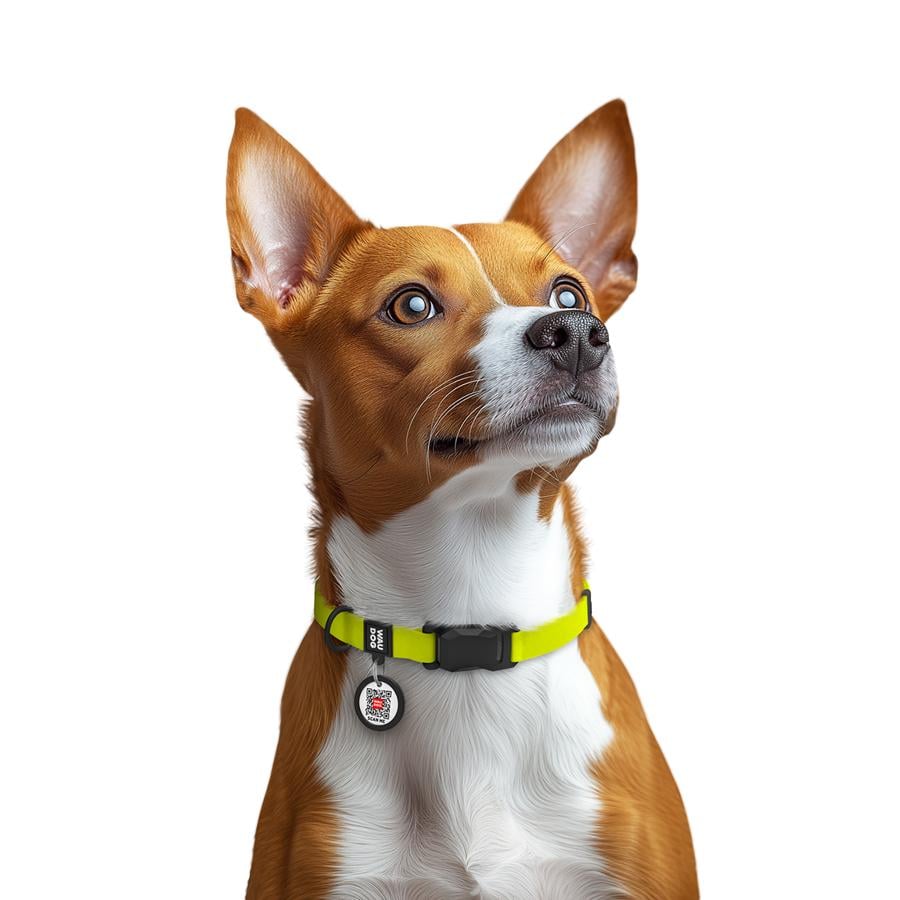 Нашийник для собак водостійкий Waudog Magnet магнітна пряжка-фастекс S 15 мм 26-35 см Yellow (279426) - фото 4 Нашийник для собак водостійкий Waudog Magnet магнітна пряжка-фастекс S 15 мм 26-35 см Yellow (279426) - фото 4