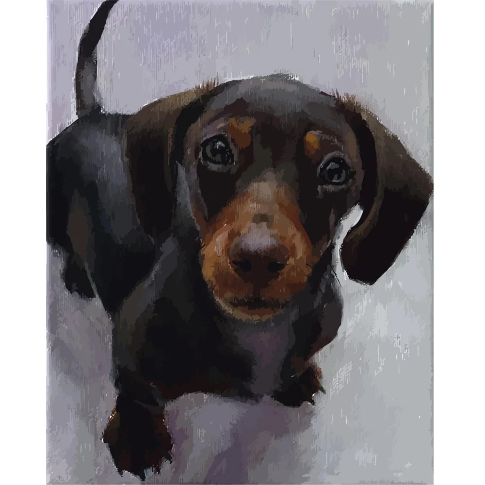 Картина по номерам Strateg Животные Такса 40х50 см в коробке (VA-0014КЗ-mt)