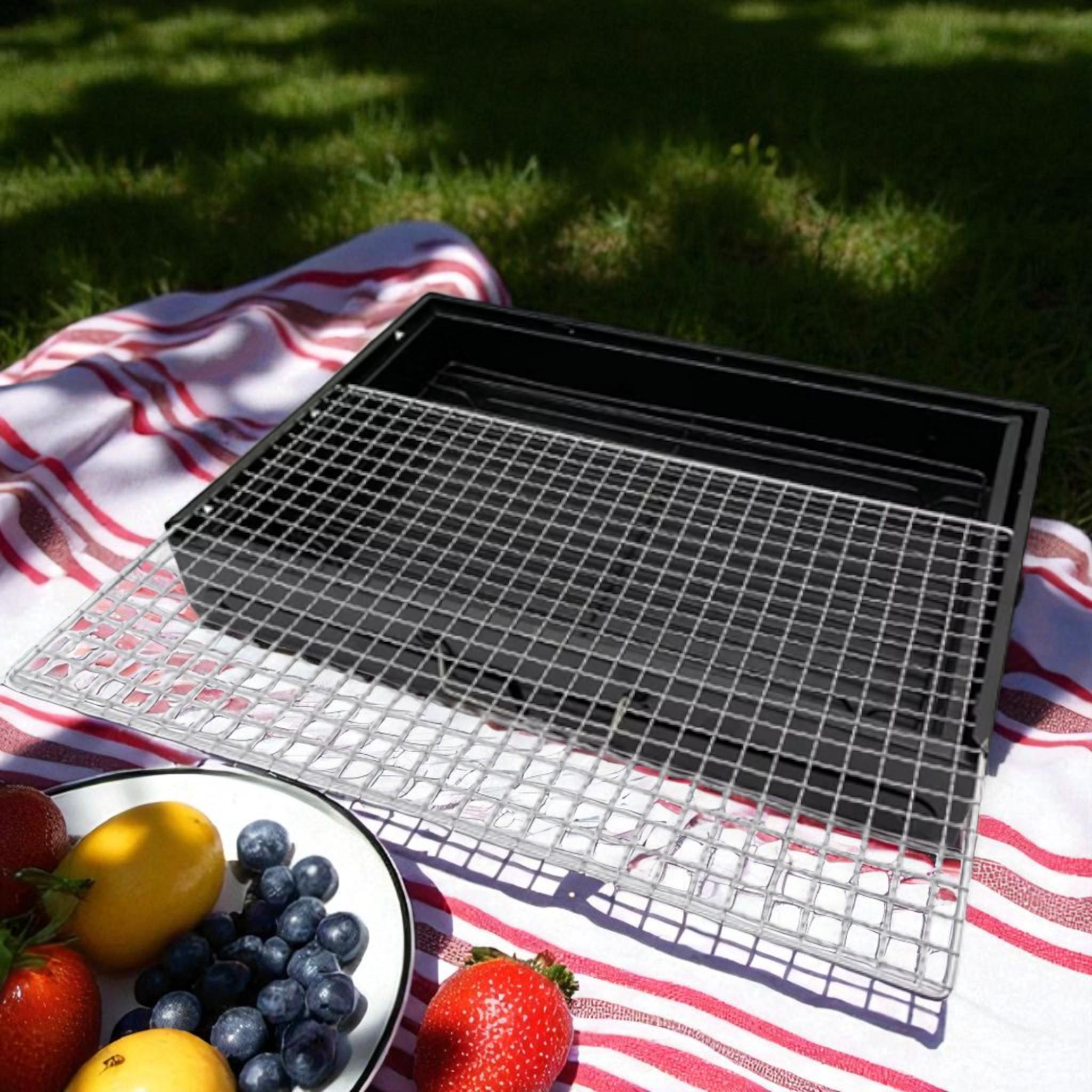 Мангал складной Maestro MR-1010 Basic 43х29х22 см (B_MR_1010Basic) - фото 5