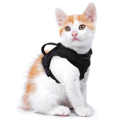 Шлея для котов и мелких собак Berry с ручкой 30-44 см Черный (1762619430) - фото 3 Шлея для котов и мелких собак Berry с ручкой 30-44 см Черный (1762619430) - фото 3