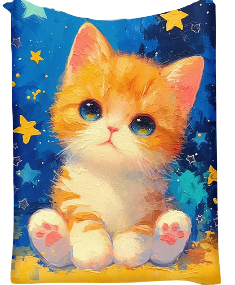 Плед 3D звездный котик 29002 160х200 см (5046405)