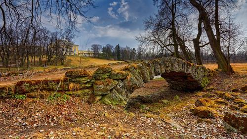 Картина на холсте Природа 55х85 см (PR258L)