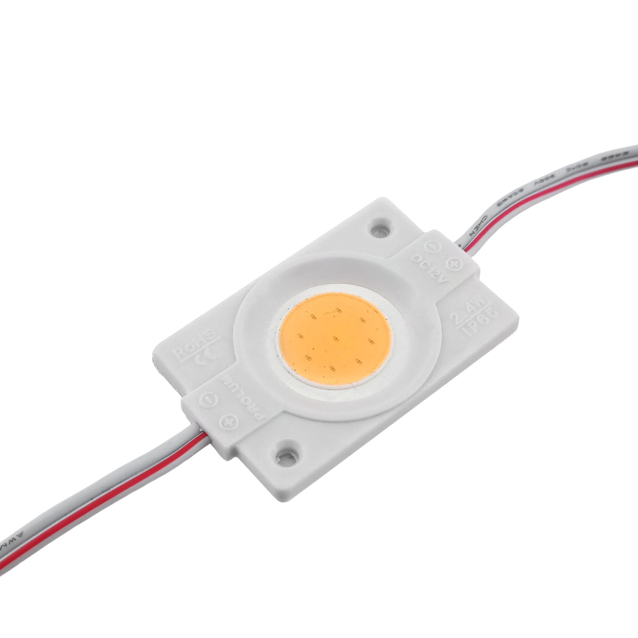 LED модуль Prolum СОВ-led 2,4 Вт 12В IP65 без линзы Розовый (65521)