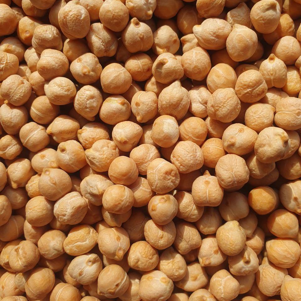 Нут узбекский 1 кг (2526141886)