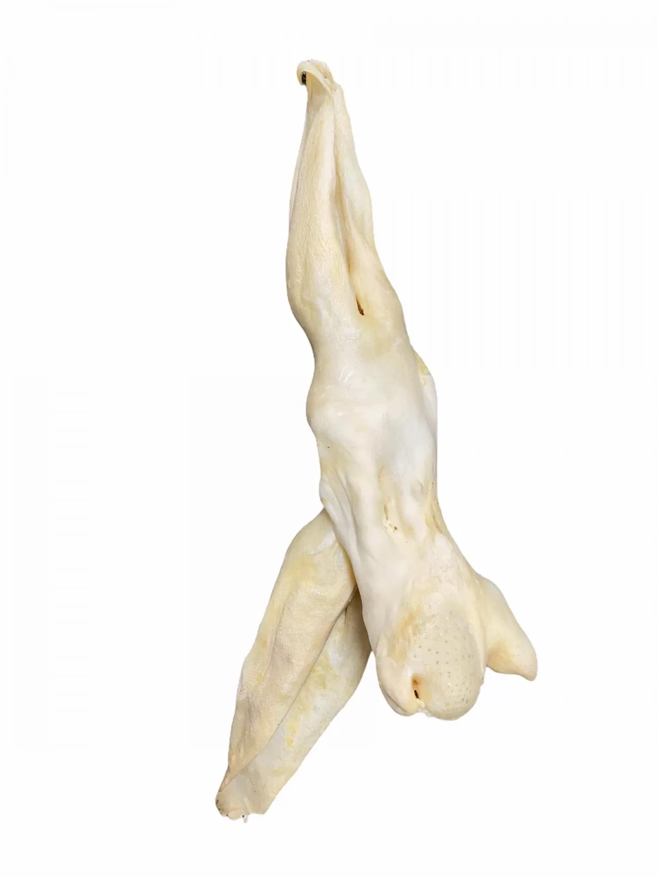 Уха кролика с кальцием 1 шт. (00000005471)