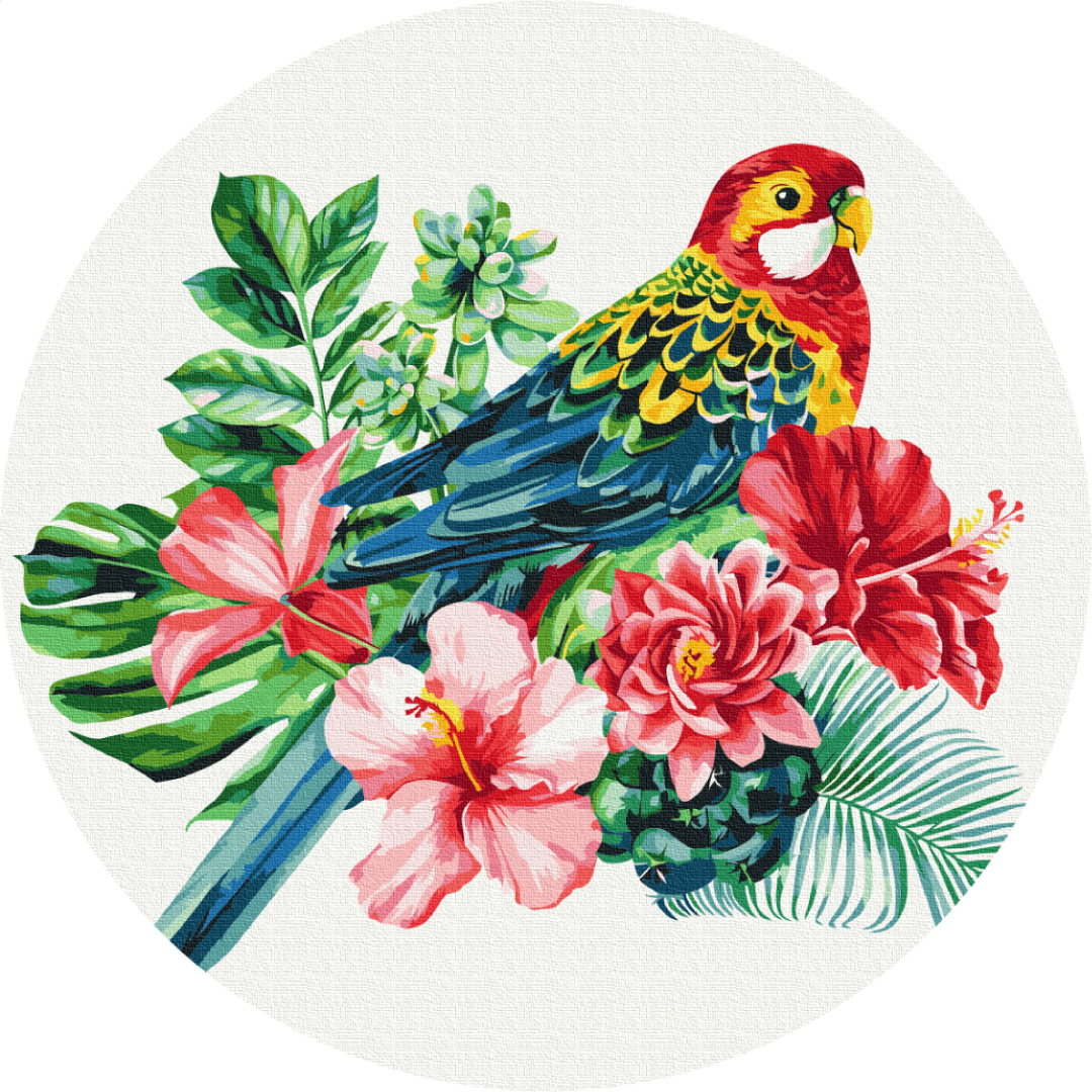 Картина по номерам Brushme Попугай 40 см (RC00058L)
