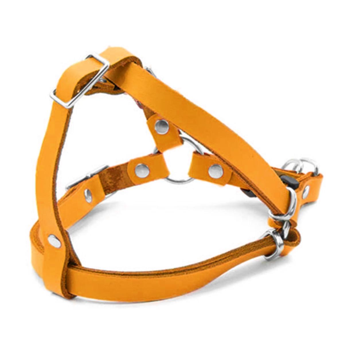 Шлей шкіряний без повідця Весна Оранжевий (6823)