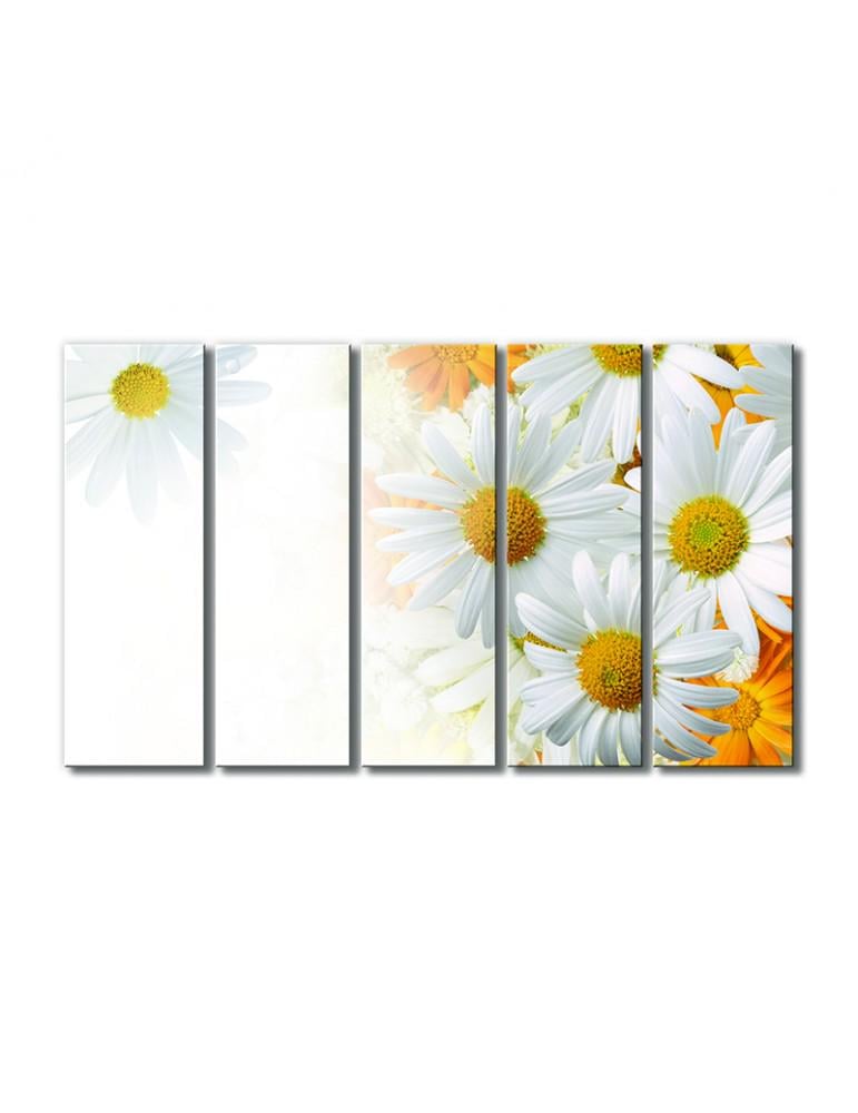 Картина модульная Ромашковое утро 5 модулей 90x135 см (173932cvety_i_rasteniya)