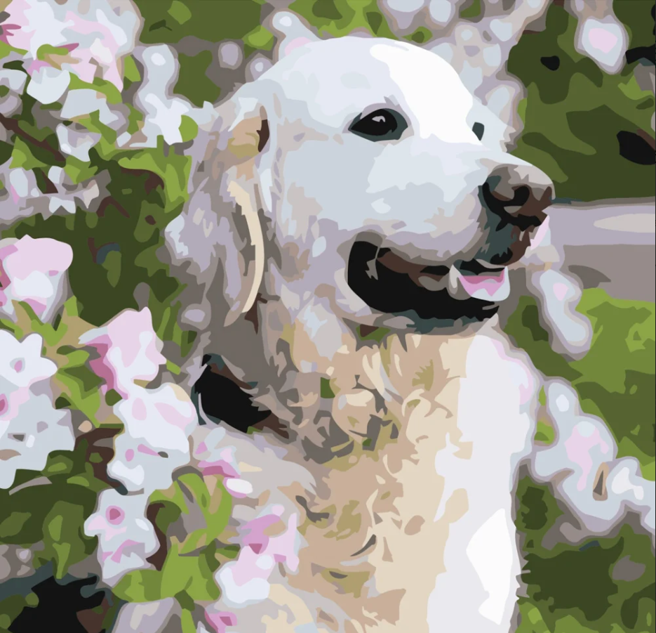 Картина за номерами Strateg Лабрадор у квітах 40х40 см (SK037)