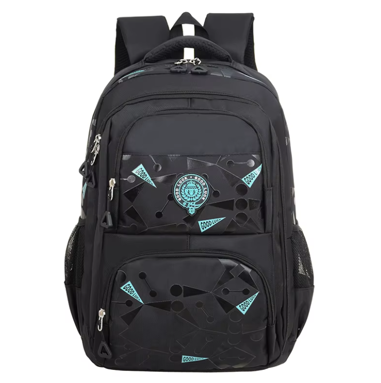 Школьный рюкзак для мальчика с органайзером с ортопедической спинкой Черный