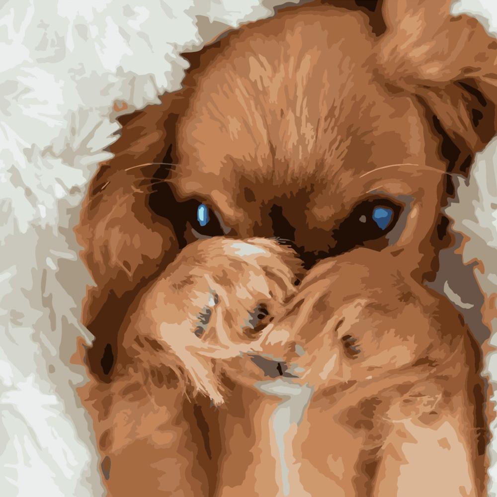 Картина по номерам Strateg Премиум Скромная собачка 40x40 см (SK049)