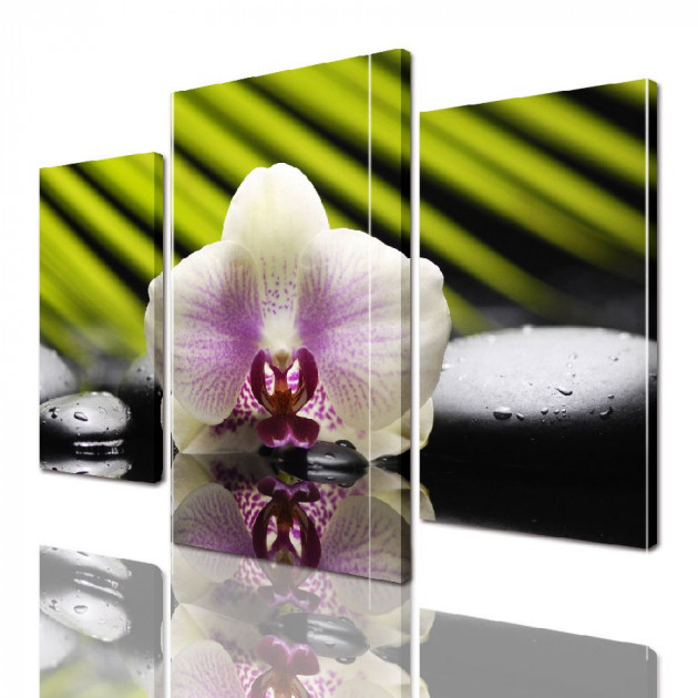 Картина модульная ArtStar Цветы орхидеи ADFL0040 120х180 см 3 части