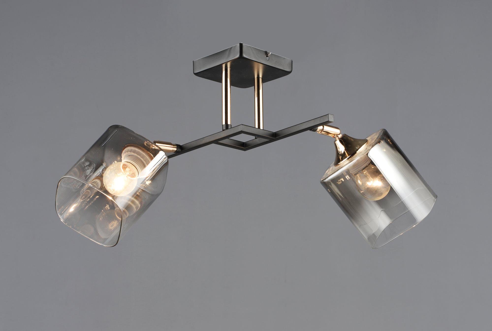 Потолочный светильник N6647/2