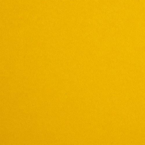 Бумага для дизайна Fabriano Colore А4 200 г/кв. м №48 Золотой (42343248)