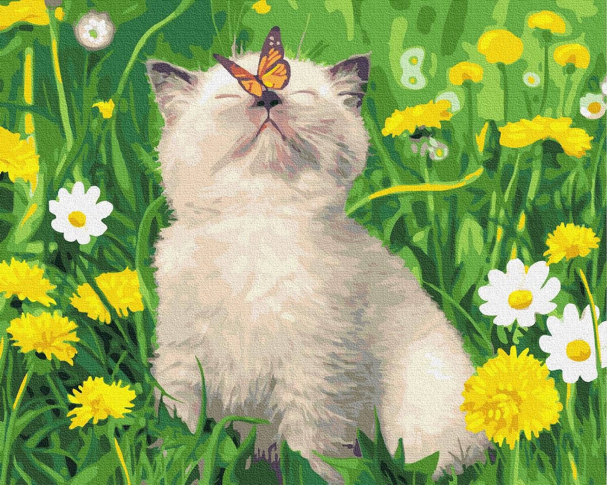 Картина по номерам Brushme Котик с бабочкой на носу 40х50 см (GX36566)