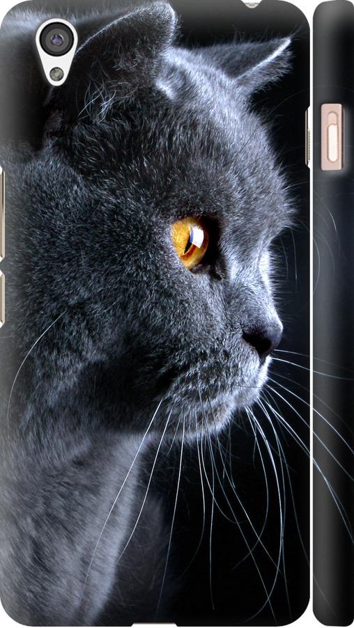 Чехол на OnePlus X Красивый кот (3038m-385-42517)