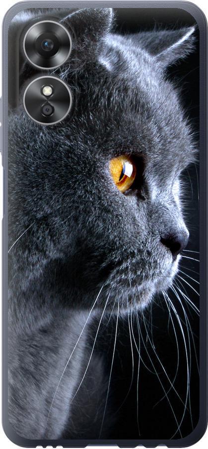 Чехол на Oppo A17 Красивый кот (3038u-2954-42517)