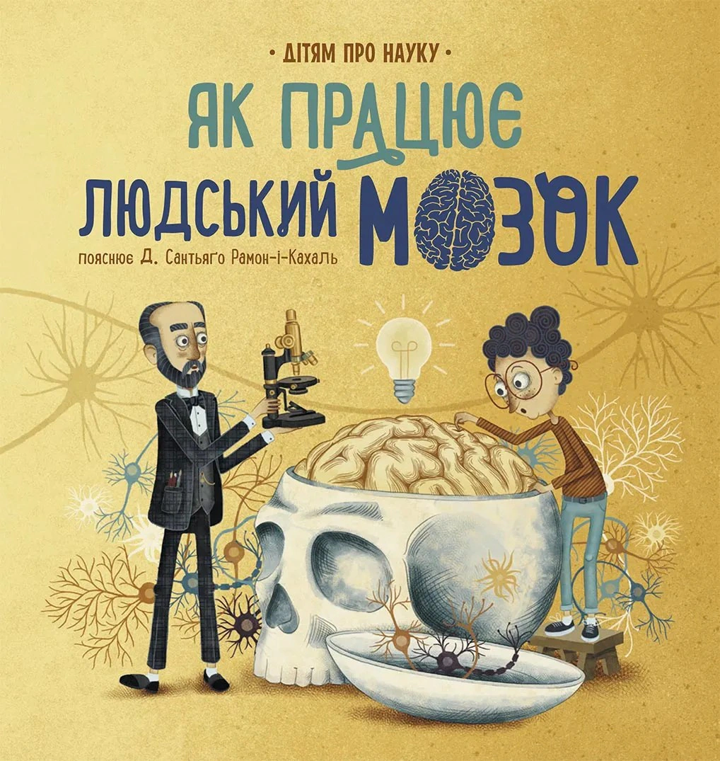 Книга Пабло Барречегурен "Как работает человеческий мозг" 9786170981639