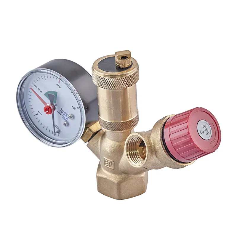 Группа безопасности котла Europroduct EP.2010 1" (EP6118)