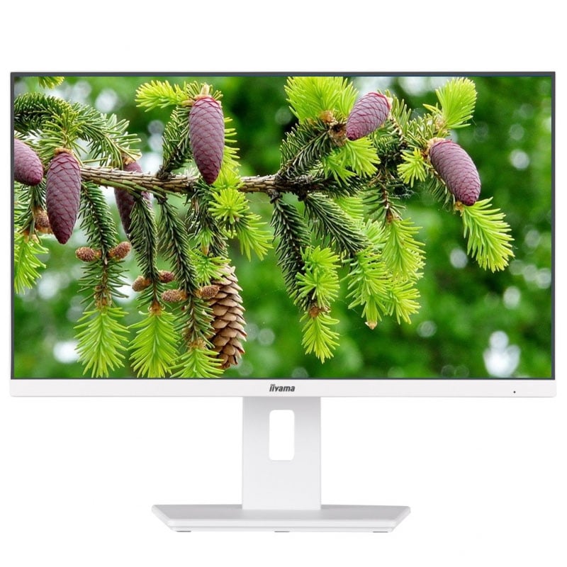 Монитор Iiyama XUB2492HSU-W6 безрамочный IPS 1920x1080 Full HD 24" (tf6496)