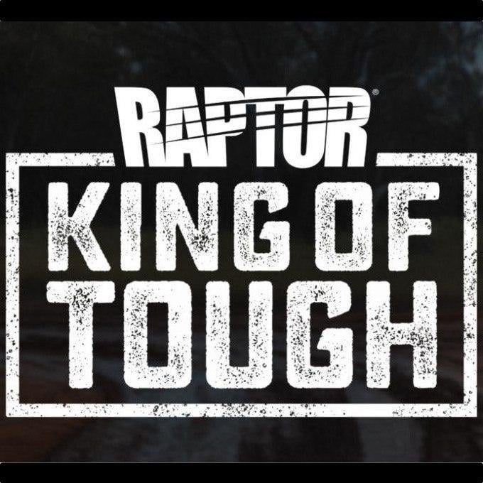 Термостойкое покрытие повышенной прочности RAPTOR Flameproof до 1000 °C 352 мл Красный мат - фото 2