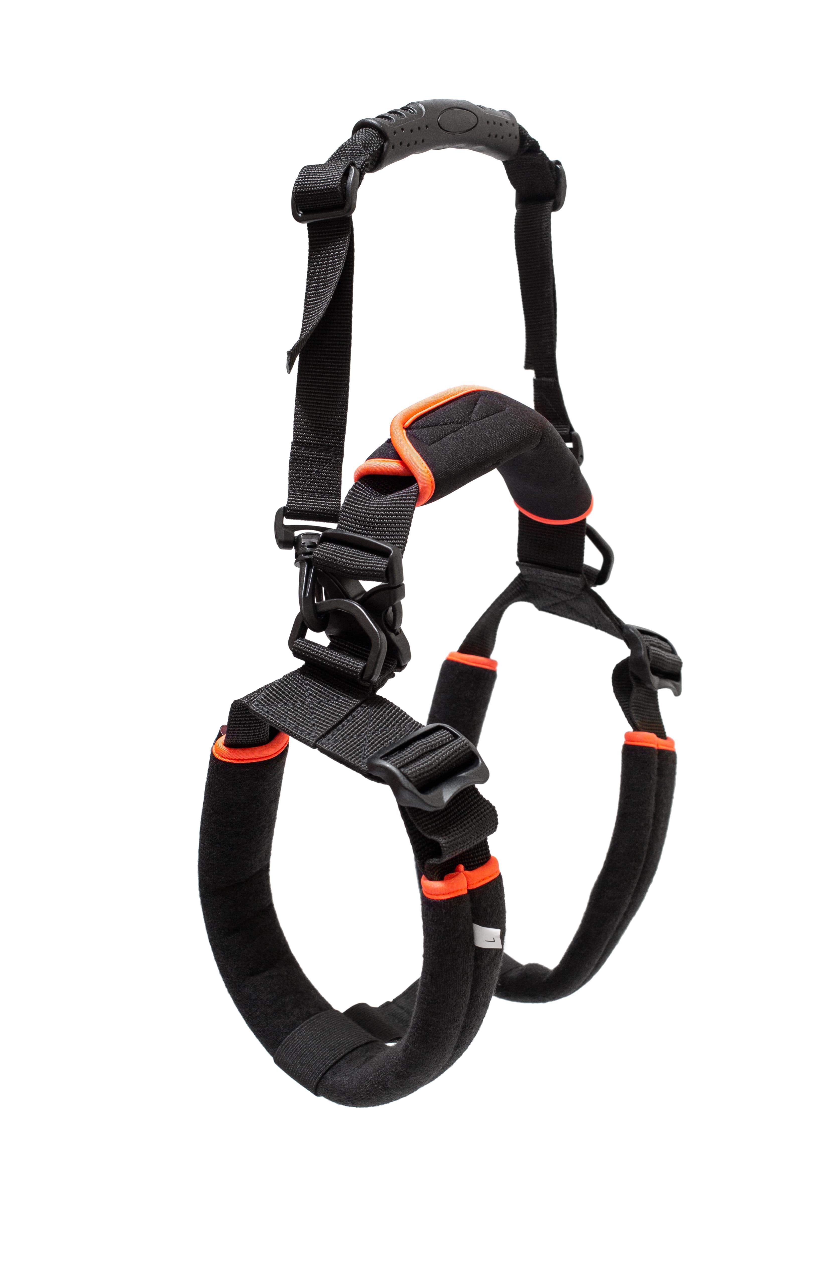 Поддержка для задних лап Frakishtak кольцами L (28063858) - фото 4 Поддержка для задних лап Frakishtak кольцами L (28063858) - фото 4