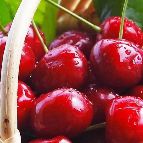 Сажанец Черешня красная Электра Electra премиальный морозостойкий сорт раннего срока созревания (51150)