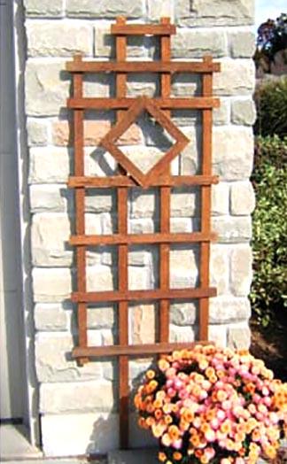 Опора для плетущихся из дерева Тембуро Мускат (ОДВ-002607)