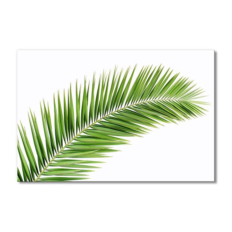Картина модульная Ветка пальмы 1 модуль 70x105 см
