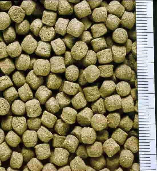 Корм тонучий Hikari Cichlid Excel Sinking для рослиноїдних цихлід гранули 3,5-4,0 мм 342 г (14633) - фото 2