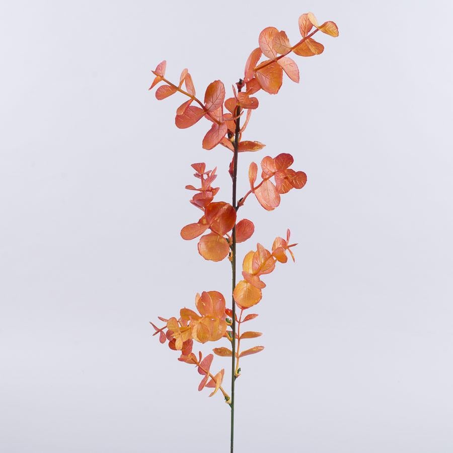Ветка Эвкалипт Оранжевый (5038-2)