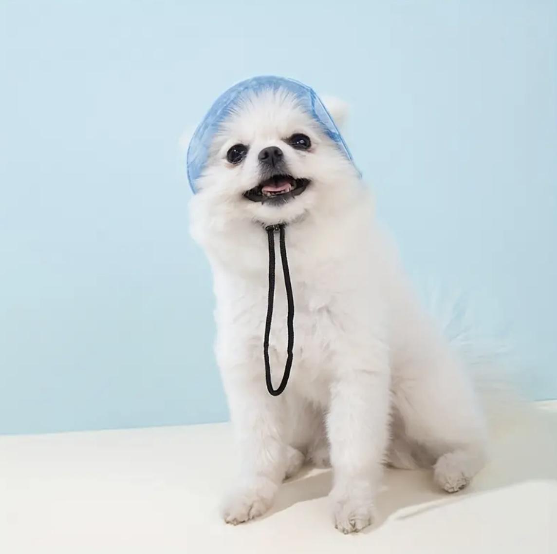 Панама для животных Ommy S Light blue (756756) - фото 6 Панама для животных Ommy S Light blue (756756) - фото 6