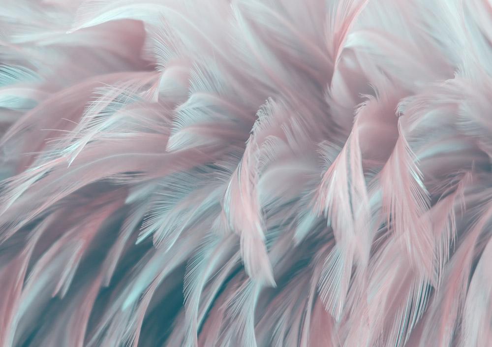 Фотообои Artside Перья 1126439936