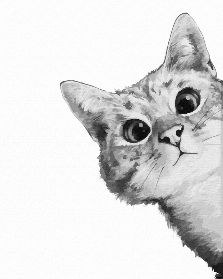 Картина по номерам Brushme Котик в засаде 40x50 см (G517) Картина по номерам Brushme Котик в засаде 40x50 см (G517)