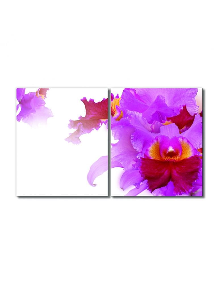 Картина модульная Сиренево-красная орхидея 2 модуля 60x90 см Картина модульная Сиренево-красная орхидея 2 модуля 60x90 см