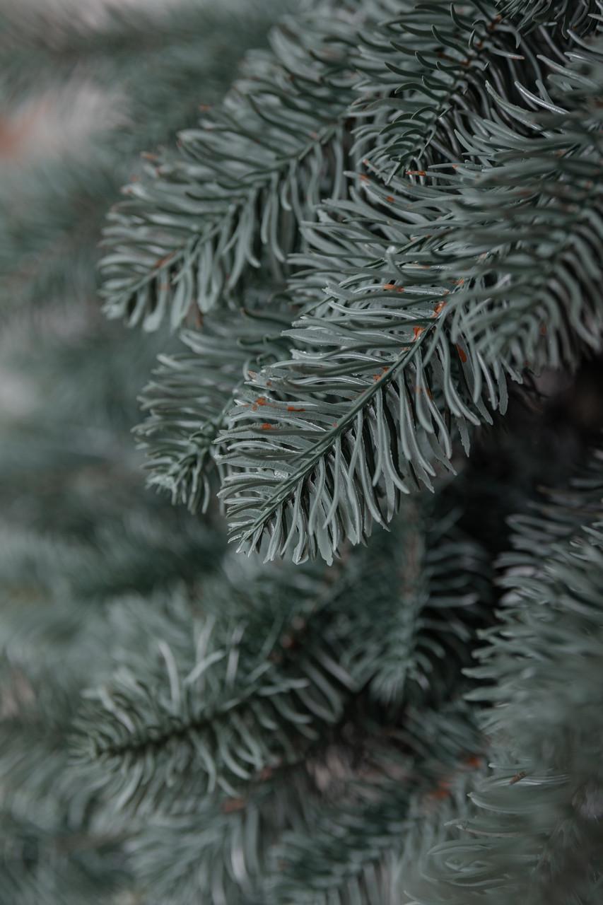 Елка искусственная литая Карпатская 2,3 м Голубой (2417049322) - фото 7 Елка искусственная литая Карпатская 2,3 м Голубой (2417049322) - фото 7