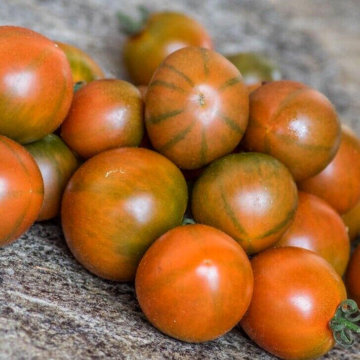 Семена томата Злая Маслина 5 шт. (38293497)