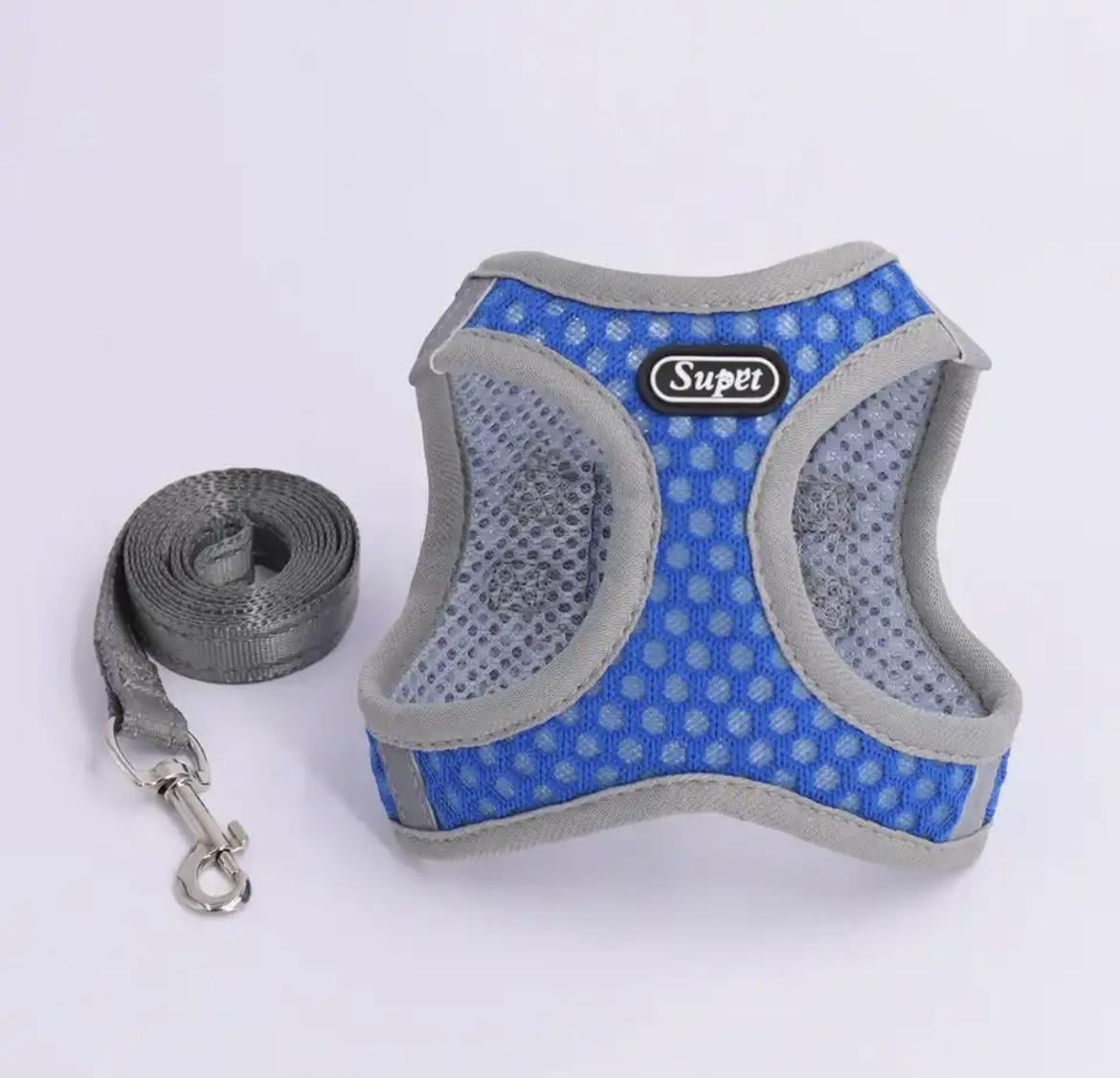 Шлея з повідцем для собак YOKKI S Blue (323232)