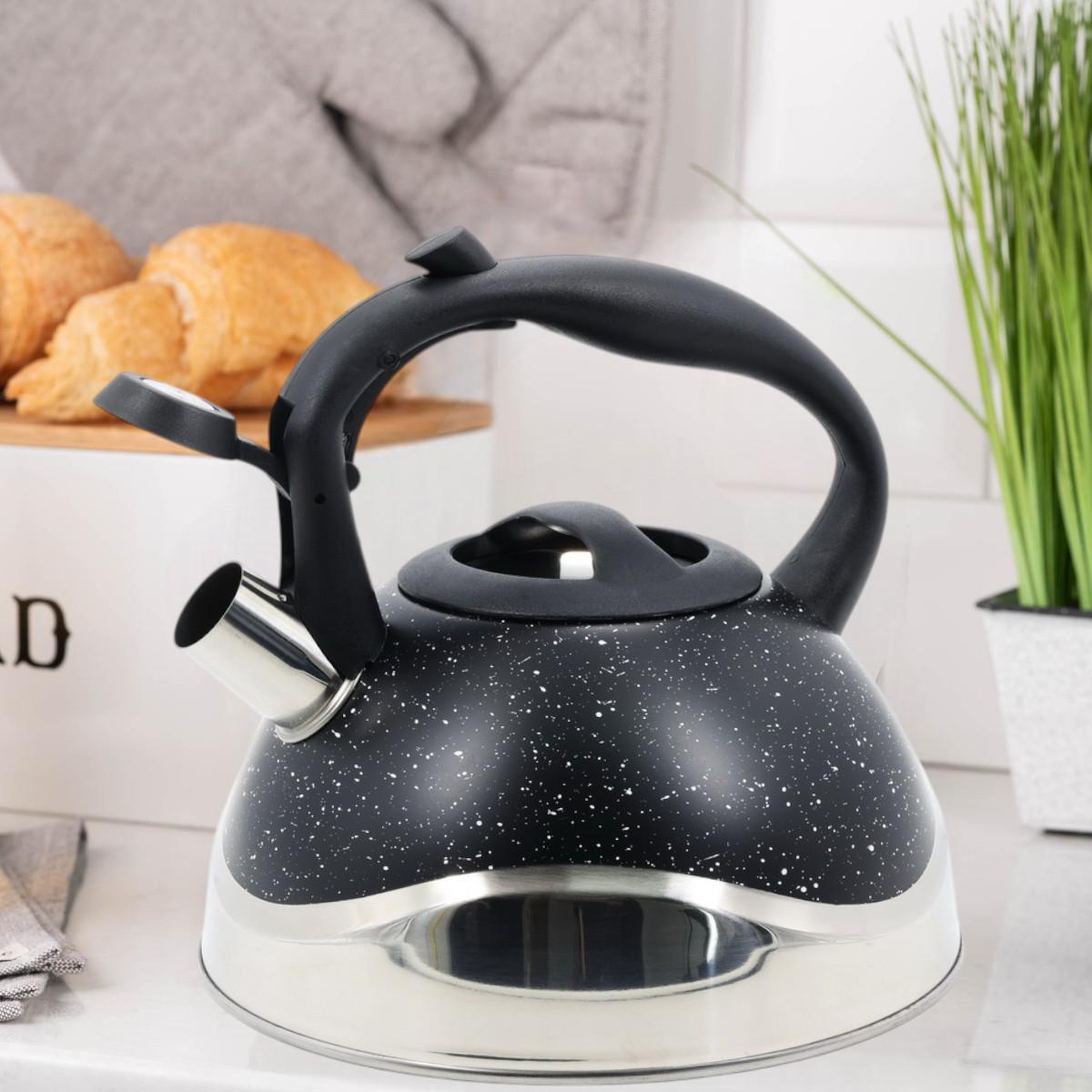 Чайник Styleberg со свистком 3 л (1385 A-WK) - фото 2 Чайник Styleberg со свистком 3 л (1385 A-WK) - фото 2